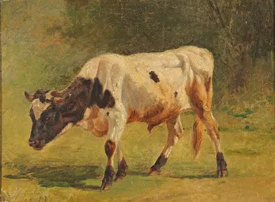 Stier by Фридрих Вольц, 1838 — digital art print download