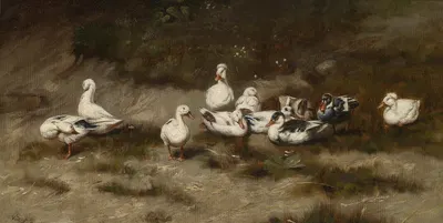 Enten am Bachufer by Геза Вастаг — digital art print download