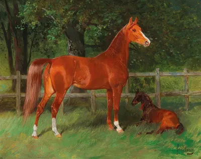 Chestnut with Foal in the Meadow by Ханс Хааг — digital art print download