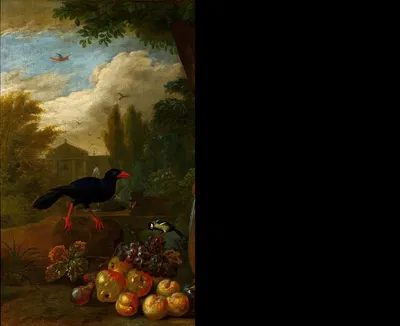 Two Macaws, a Cockatoo and a Jay, with Fruit by Jakob Bogdány, 1710 — digital art print download