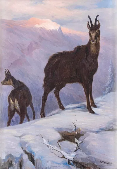 Zwei Gämsen im winterlichen Hochgebirge by Йозеф Страка — digital art print download