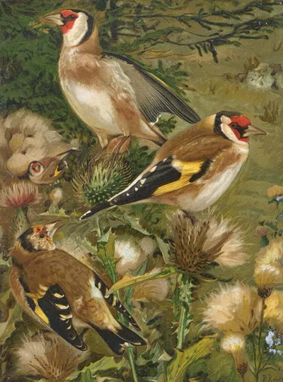 Chardonneret by Léo-Paul Robert, 1880 — digital art print download