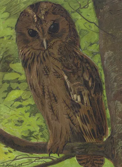 Chat-Huant by Léo-Paul Robert, 1878 — digital art print download