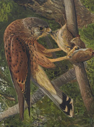 Crécerelle by Léo-Paul Robert, 1880 — digital art print download