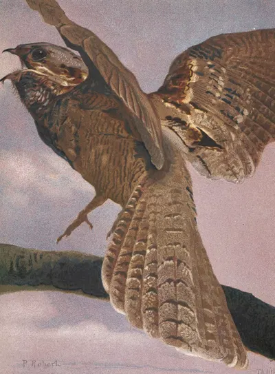 Engoulevent by Léo-Paul Robert, 1880 — digital art print download