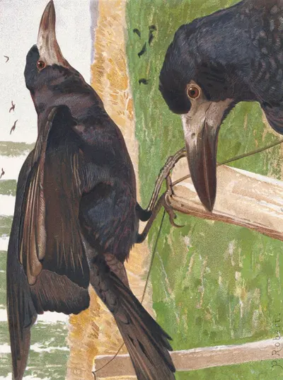 Freux (corbeau) by Léo-Paul Robert, 1880 — digital art print download