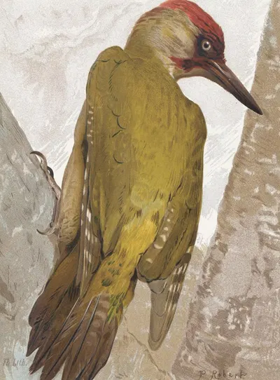 Pic Vert by Léo-Paul Robert, 1880 — digital art print download