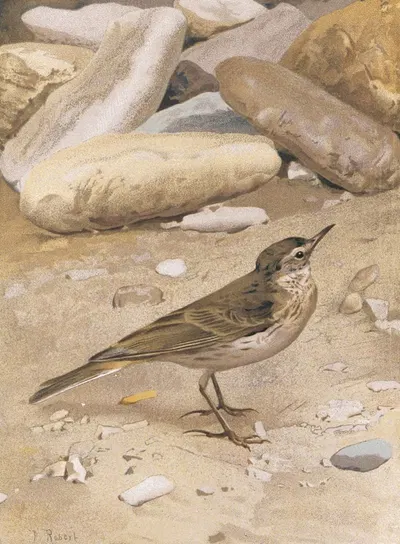 Pitpit Spioncelle by Léo-Paul Robert, 1880 — digital art print download