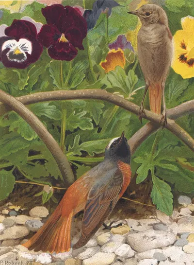 Rossignol de Murailles by Léo-Paul Robert, 1878 — digital art print download