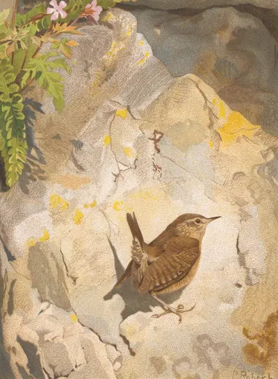 Troglodyte by Léo-Paul Robert, 1880 — digital art print download