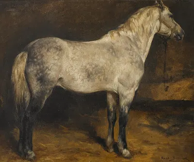 A dapple grey horse by Роза Бонёр — digital art print download