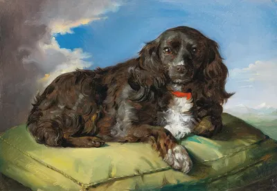 Cocker Spaniel auf grünem Polster liegend by Теодор Петтер — digital art print download