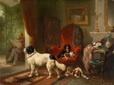 Interior with Dogs by Вутерус Версхур — digital art print download