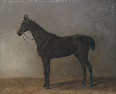 Brauner Wallach by Альбрехт Адам, 1834 — digital art print download