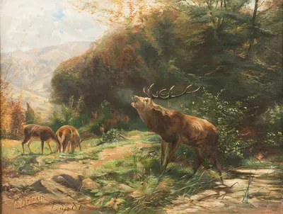 Roaring stag by Кристиан Кренер, 1887 — digital art print download