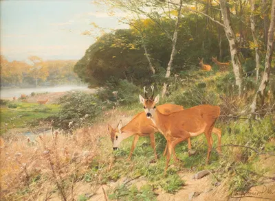 Red deer on a forest clearing by Кристиан Кренер, 1906 — digital art print download