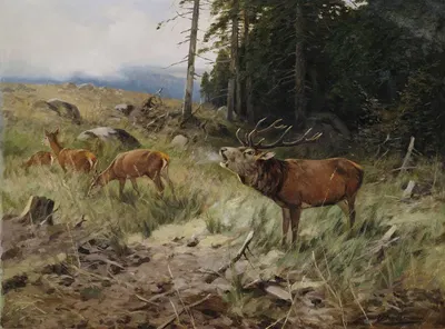 Röhrender Hirsch und Rehe am Waldrand by Christoffer Drathmann — digital art print download