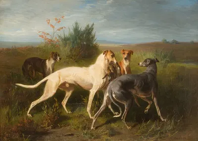 Hounds with their prey by Conradijn Cunaeus — digital art print download