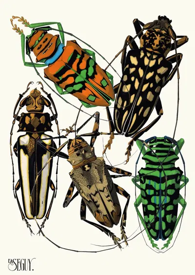 Insectes Pl.15 by Emile-Allain Séguy, 1929 — digital art print download