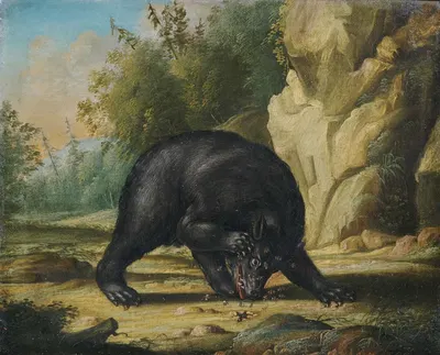 Ein Bär wird von Bienen attackiert by Georg Ernst Sandner — digital art print download