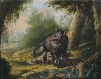 Eine Wildsau mit ihren Jungen. Ein Bär wird von Bienen attackiert. by Georg Ernst Sandner — digital art print download