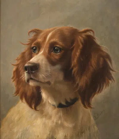 Spaniel, coloured brown-white by Johannes Christian Deiker — digital art print download
