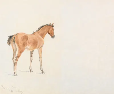 'Fanny's Colt', July 26, 1886 by Джон Фредерик Тейлер, 1886 — digital art print download
