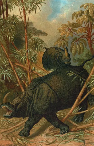 Rhinoceros. by John George Wood, 1898 — digital art print download