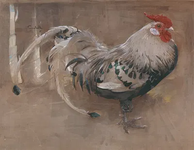 The Spangled Cock by Joseph Crawhall, 1903 — digital art print download