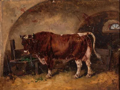 Ox in the barn by Юзеф Бродовский, 1898 — digital art print download