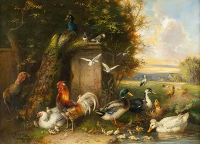 Poultry with chicken, ducks and peacock by Julius Scheuerer, 1911 — digital art print download