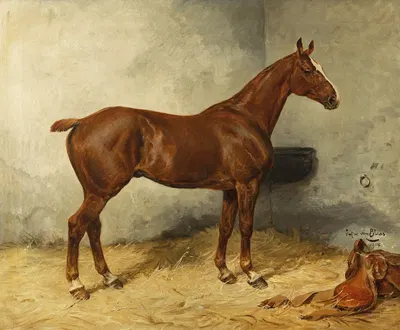 A Horse in a Stable by Юлий фон Блаас, 1914 — digital art print download
