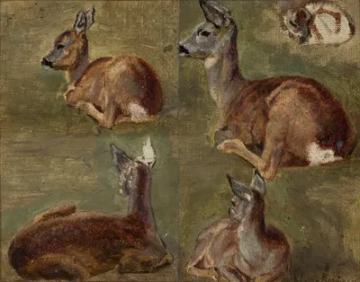 Sketches of fawns by Мария Класс-Казановская, 1897 — digital art print download