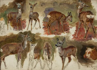Studies of does by Мария Класс-Казановская, 1897 — digital art print download