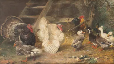 Poultry yard by Paul Friedrich Meyerheim, 1896 — digital art print download