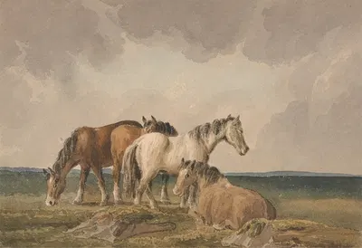 Four Ponies on a Welsh Moor by Thomas Creswick — digital art print download