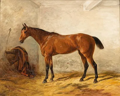 A Bay Horse in a Stable with Saddle Blanket by Wilhelm Richter, 1884 — digital art print download