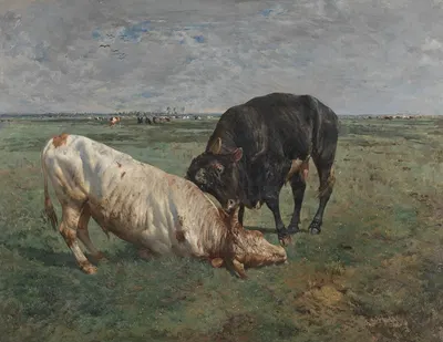 Fight between two young bulls by Alfred Verwee, 1883 — digital art print download