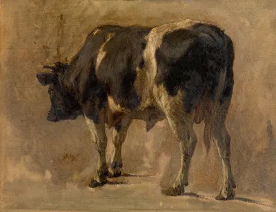 Bull by Андре Плюмо — digital art print download