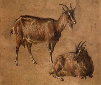 Goats by Андре Плюмо — digital art print download