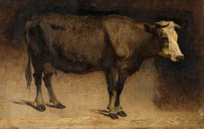Cow by Андре Плюмо — digital art print download