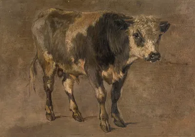Bull by Андре Плюмо — digital art print download