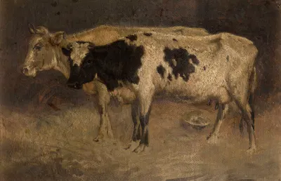 Cows by Андре Плюмо — digital art print download