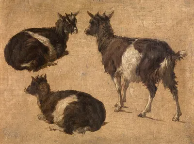 Goats by Андре Плюмо — digital art print download