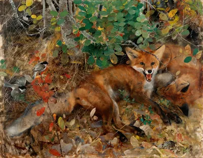 Foxes by Bruno Liljefors, 1886 — digital art print download