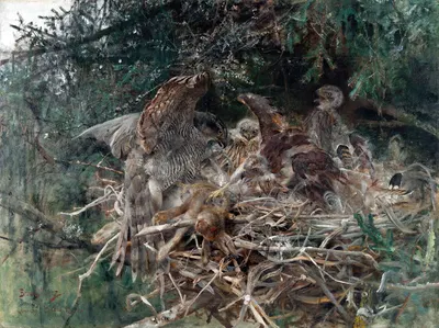 Hawk's Nest by Bruno Liljefors, 1886 — digital art print download