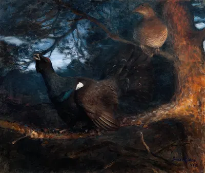 The mating of the Capercaillies by Бруно Лильефорс, 1895 — digital art print download