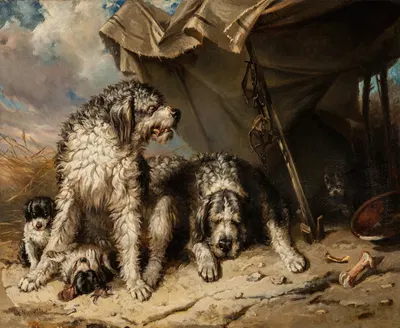 Dog Family by Carl Fredrik Kiörboe — digital art print download
