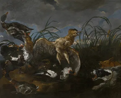 Bittern and Ducks Startled by Dogs by Даниэль Шульц — digital art print download