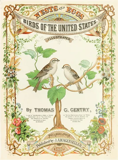 Frontispiece by Edwin L. Sheppard, 1882 — digital art print download
